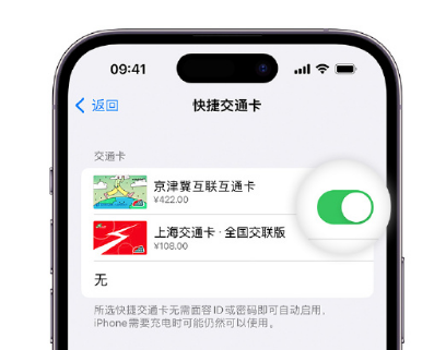 曲江apple维修点分享iPhone上更换Apple Pay快捷交通卡手绘卡面 