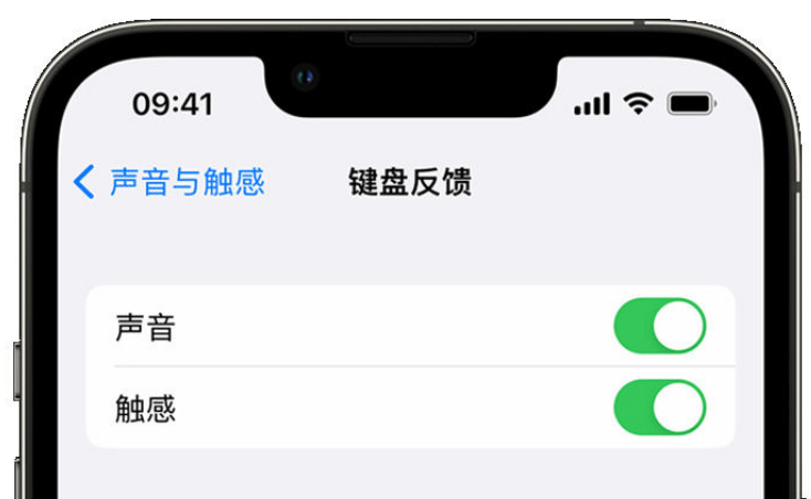 曲江苹果手机维修分享iPhone 14触感键盘使用方法 