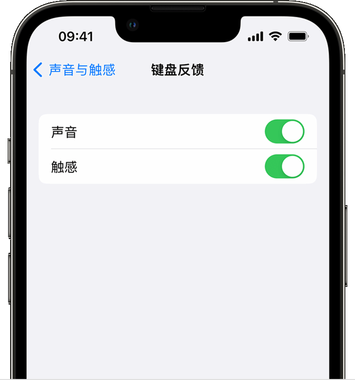 曲江苹果14维修店分享如何在 iPhone 14 机型中使用触感键盘 