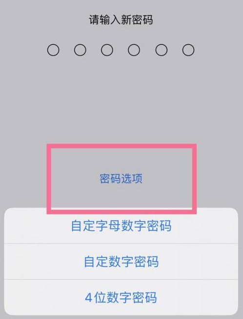 曲江苹果14维修分享iPhone 14plus设置密码的方法 