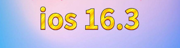 曲江苹果服务网点分享苹果iOS16.3升级反馈汇总 