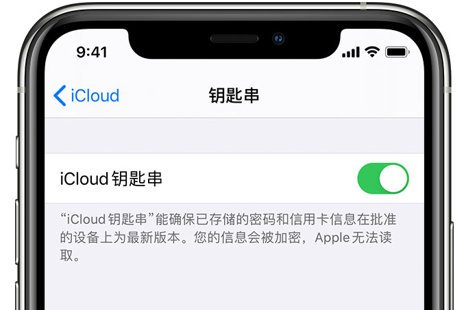 曲江苹果手机维修分享在 iPhone 上开启 iCloud 钥匙串之后会储存哪些信息 